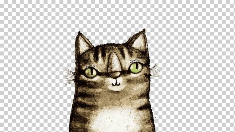 Подушка кота Акварельная живопись Иллюстрация, акварель нарисованная картина кота, акварельная живопись, акварельные листья, млекопитающее png