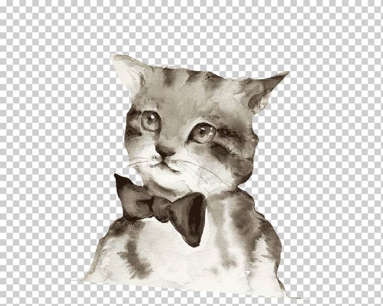 Сиамский кот Котенок Акварельная живопись Арт, Галстук кот, млекопитающее, животные, кошка png