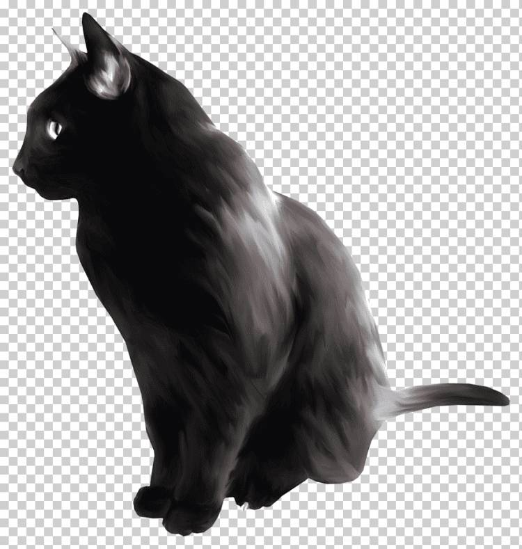 Черная кошка Bombay cat Домашняя короткошерстная кошка Котенок Акварельная живопись, котенок, акварельная живопись, животные, кошка png