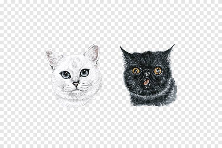 ручная роспись акварель милый кот голова портрет, ручная роспись, кошка png