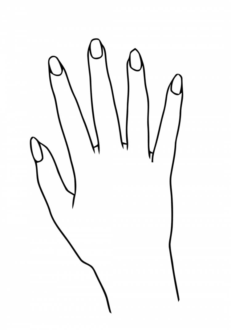 Рука с длинными ногтями рисунок