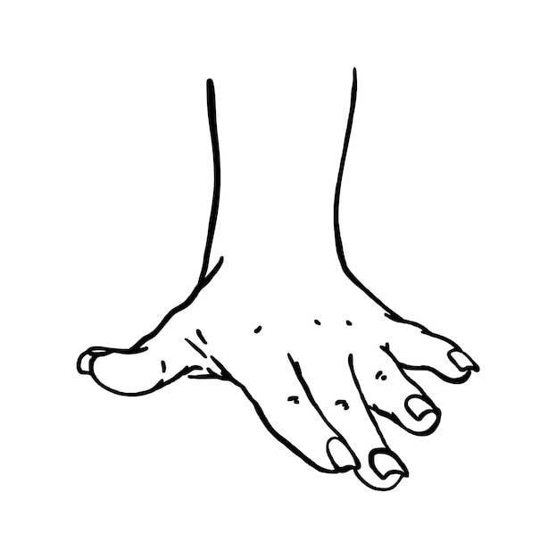 Женская рука с длинными ногтями часть человеческого тела каракули линейная мультяшная раскраска