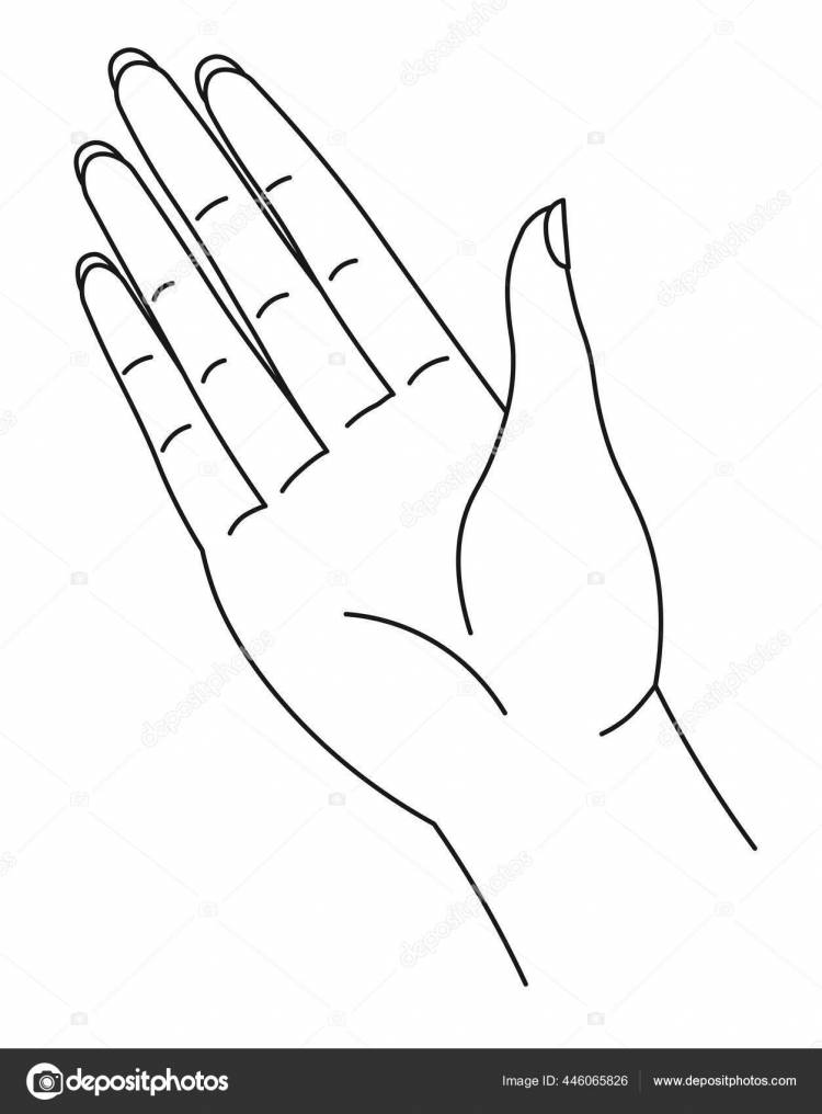 Ладонь, нарисованная в стиле модерн, рука с пальцами Векторное изображение ©Sonulkaster