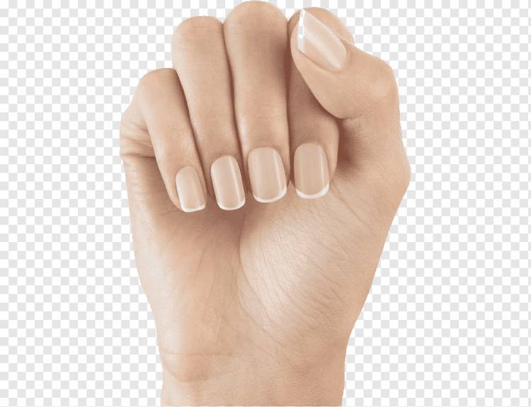 Искусственные ногти Nail art Nail Polish Square, другие, рука, косметика, другие png