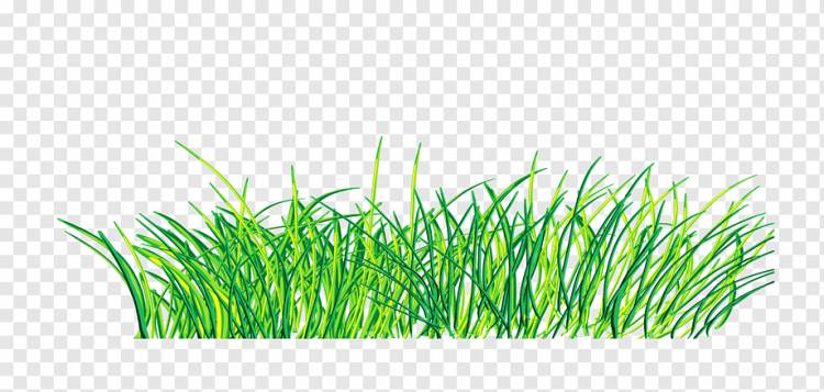 Зеленый, ручная роспись зеленой травы, Акварельная живопись, нарисованная, ручная png
