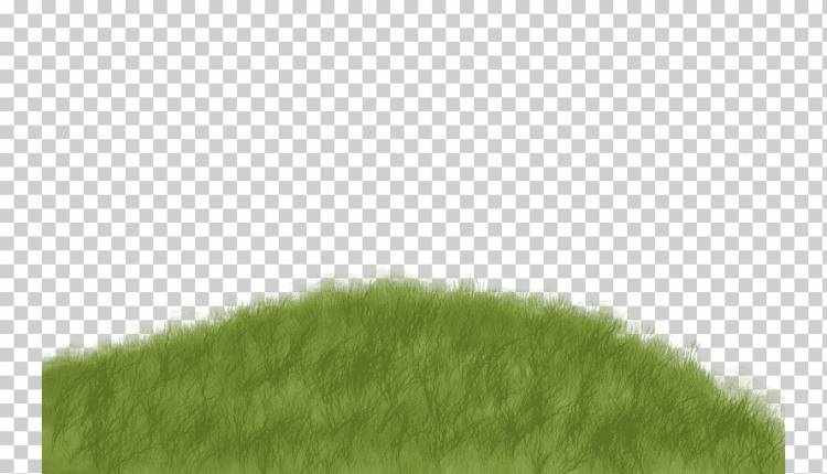 Газон Зеленая трава Дерево Pattern, Креативная зеленая трава, нарисованный, рука, трава png