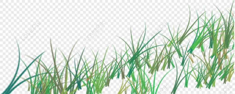 Рисованной травы изображение_Фото номер