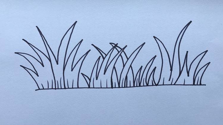 Как нарисовать траву карандашом