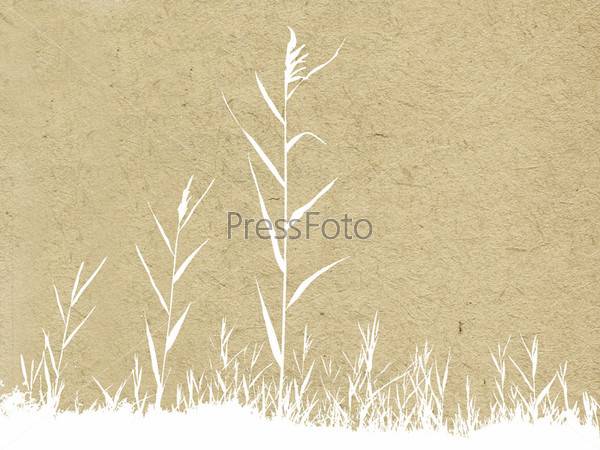 Фотография на тему Трава, нарисованная белой краской на картоне