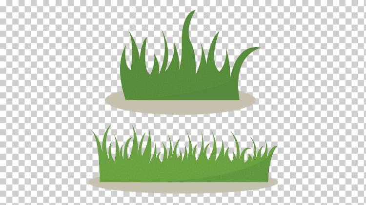 Рисунок Куст, Зеленая трава, нарисованный, лист, рука png