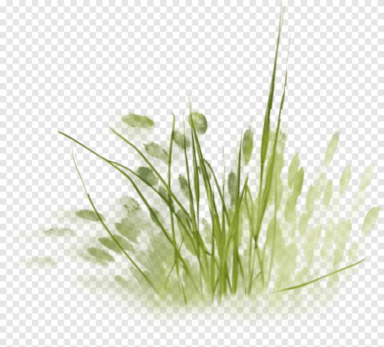 зеленая трава иллюстрация, живопись архитектура рисунок, трава, Акварельная живопись, пейзаж png