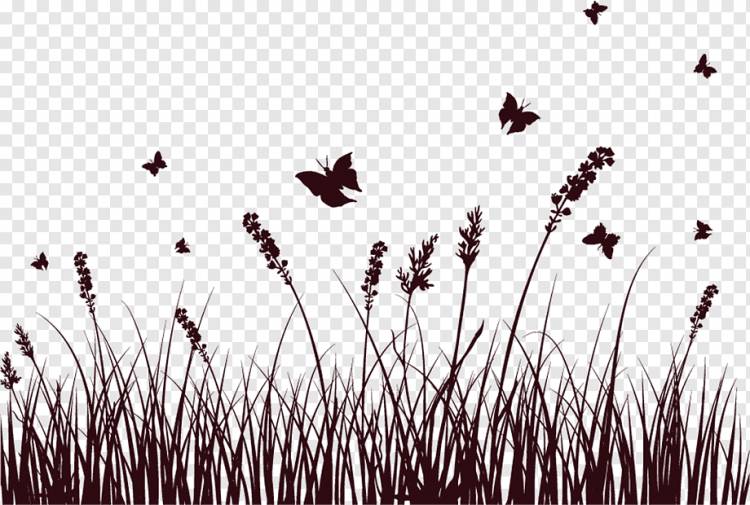 Силуэт цветка, Окрашенный лук из черной травы, Акварельная живопись, филиал, компьютерные обои png