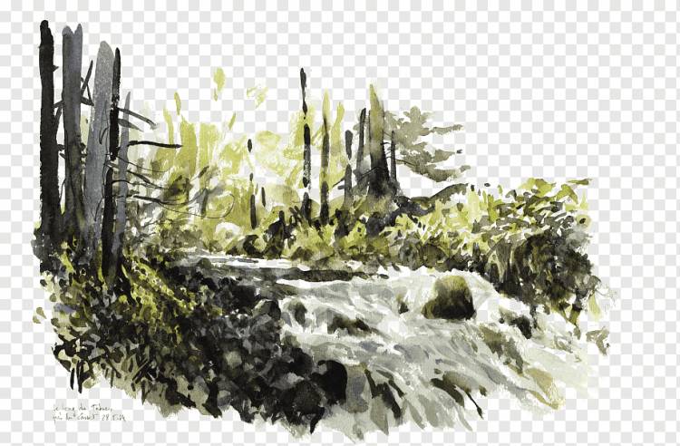 Акварельная живопись Река Торрент Акварельная живопись, вода, трава, река, живопись png
