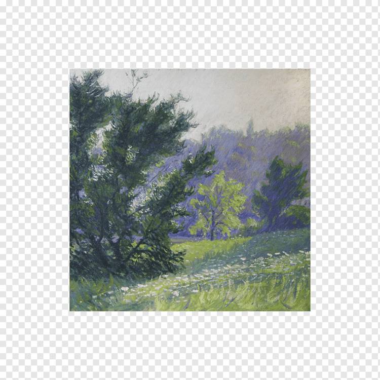 Акварельная живопись Лесная экосистема Пейзаж, начало лета, акварель, пейзаж, трава png