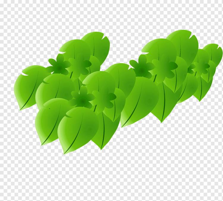 Мультяшная растровая графика, нарисованная зелеными листьями, акварельная живопись, акварельные листья, лист Овощной png