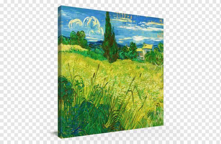 Акварельная живопись Зеленое пшеничное поле с кипарисовым полем и зеленым пшеничным полем, Ван Гог, акварель, пейзаж, трава png