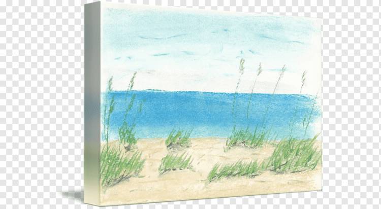 Акварельная живопись Акриловая краска Рамки, Песчаные Дюны, акварель, трава, океан png