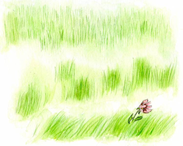 Нарисованная трава