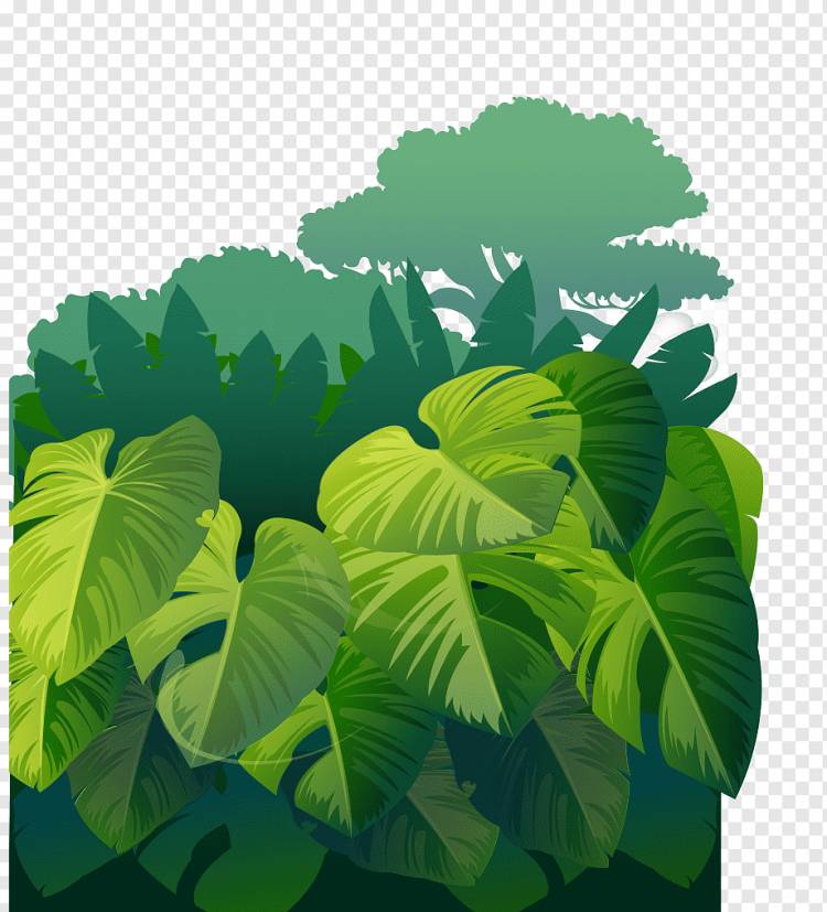 зеленые листья и деревья плакат, лес компьютерный файл, мультфильм нарисовал траву зеленые листья деревья лес, Акварельная живопись, акварель Листья, лист png