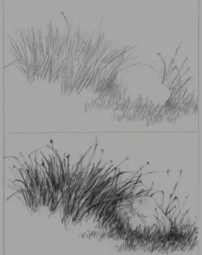 Как нарисовать траву карандашом поэтапно?