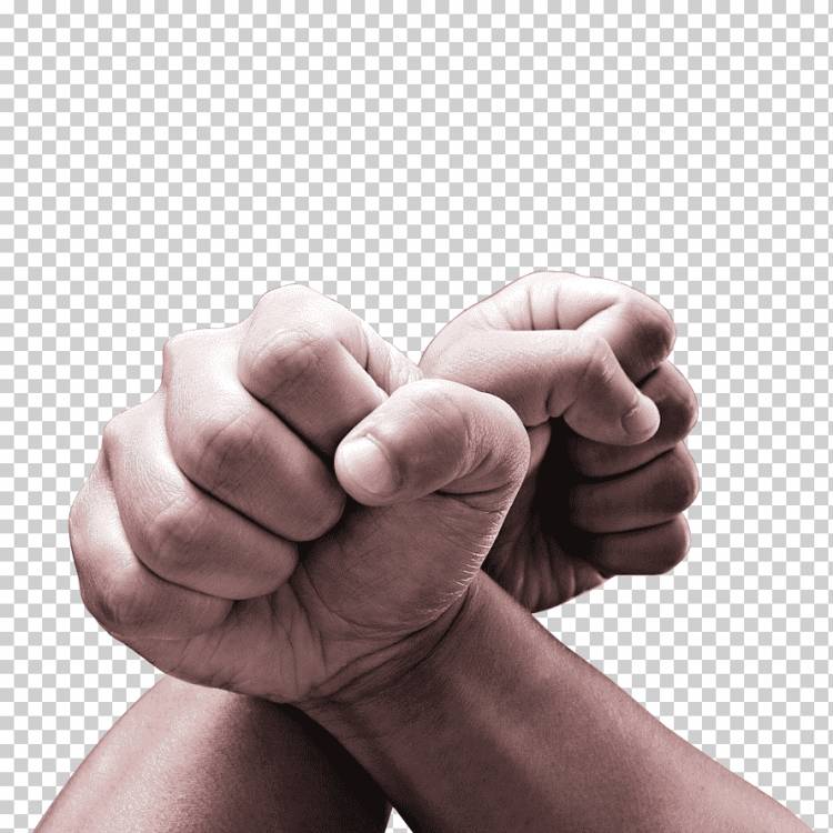 Рукопожатие кулак цифра бизнес, его рука сжата, компания, фотография, рука png