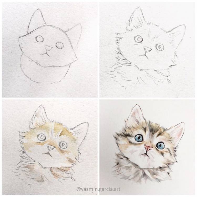 Рисунки карандашом котики легкие