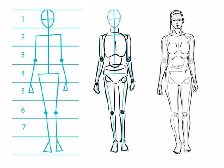 Как нарисовать тело девушки в полный рост 