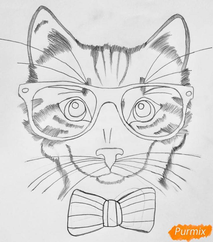 Как нарисовать кошку в очках карандашами поэтапно