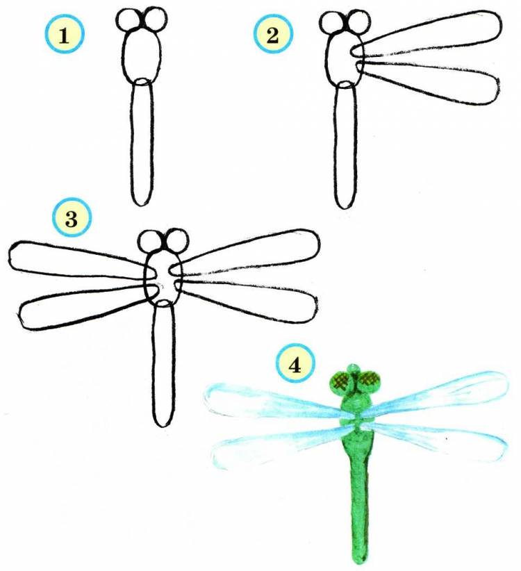 Поэтапное рисование насекомых для дошкольников