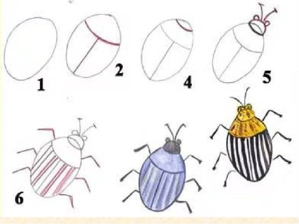 Схематический рисунок насекомых 