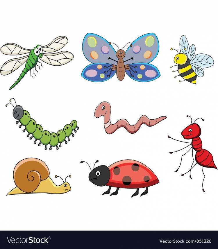 Рисунки насекомых для детей