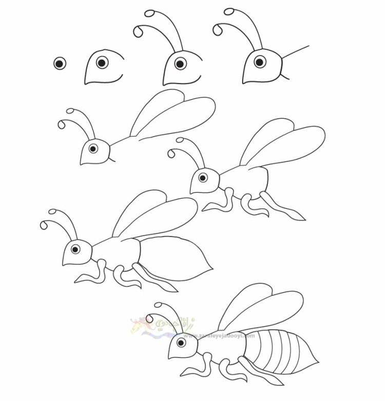 Мультяшные насекомые для срисовки