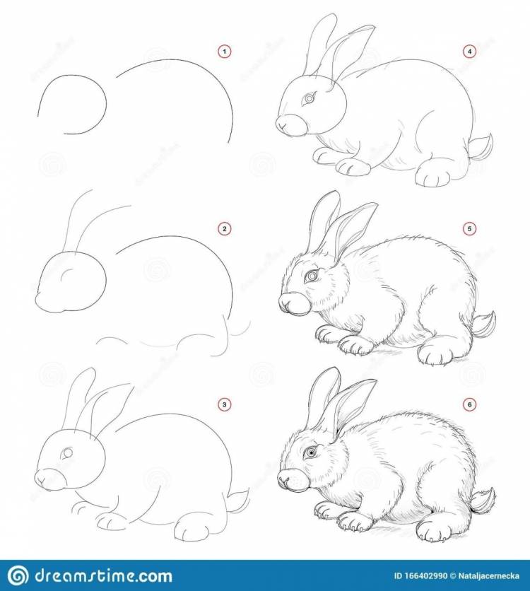 Заяц по этапно рисунок