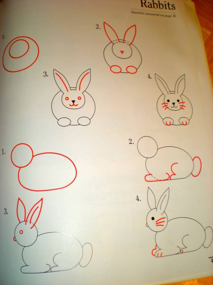 Поэтапное рисование зайца для дошкольников