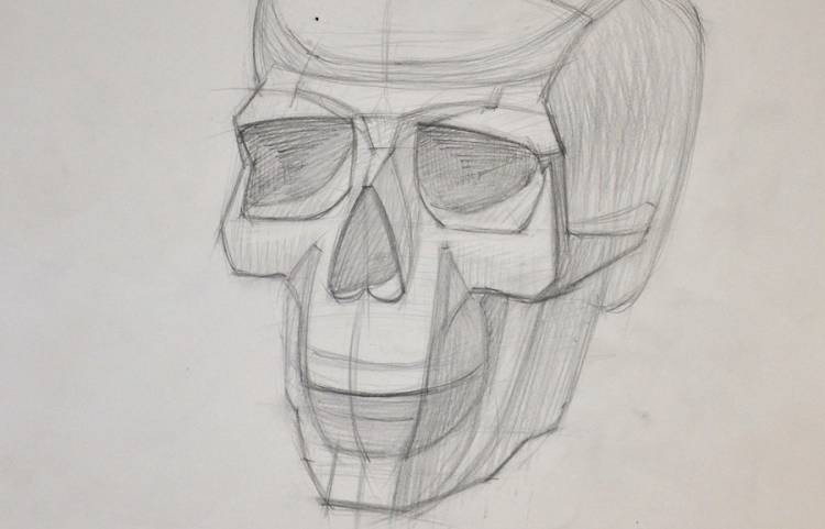 Нарисовать череп человека пошагово?