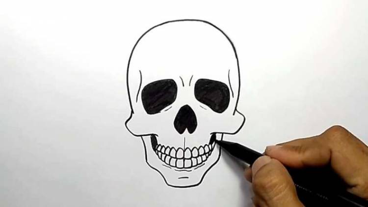 Как нарисовать череп пошагово карандашом 