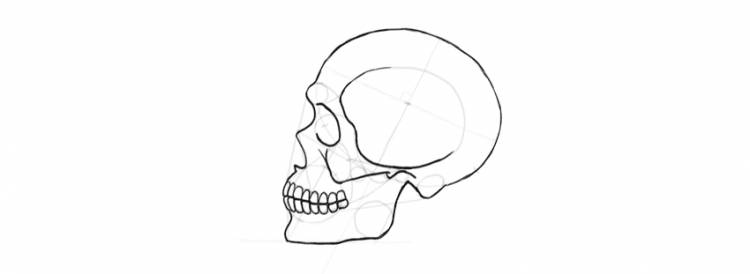 Как нарисовать череп поэтапно
