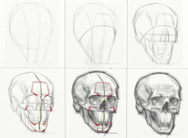 Как рисовать черепа карандашами поэтапно