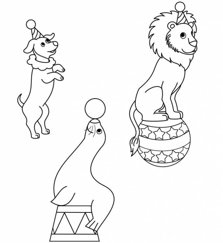 Животные из цирка рисунки 