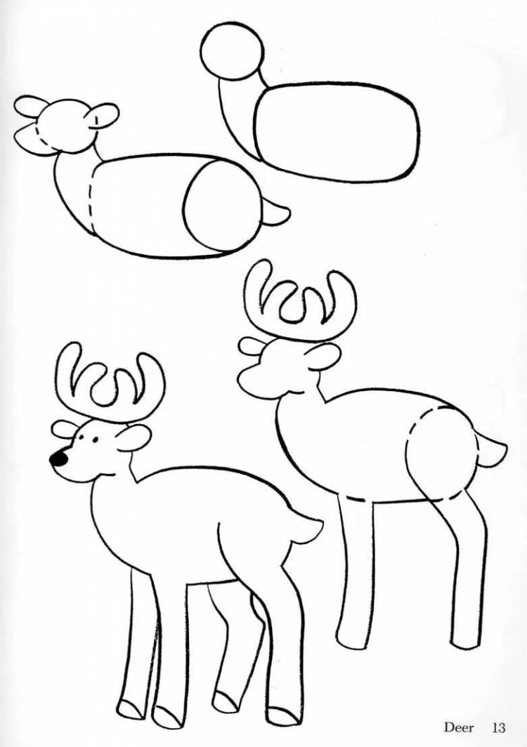 Рисунок оленя легкий для детей
