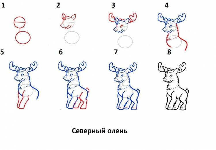 Как нарисовать оленя 