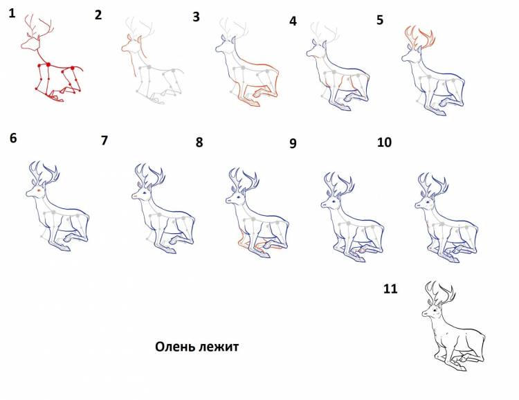 Как нарисовать оленя 