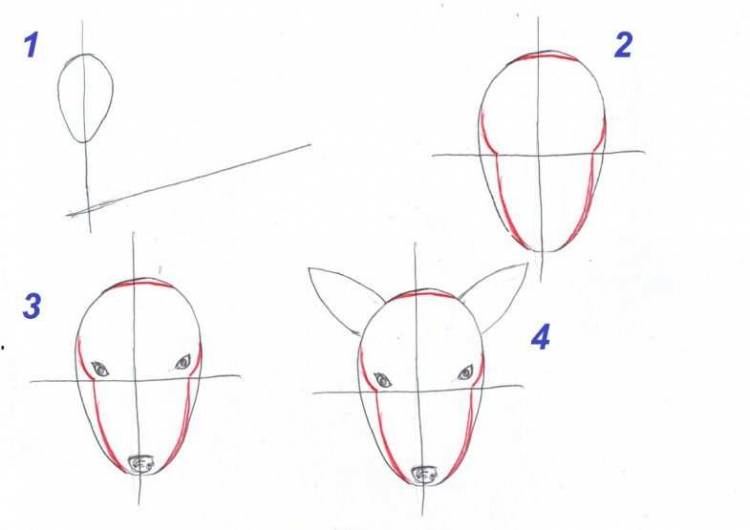 Как нарисовать оленя поэтапно карандашом