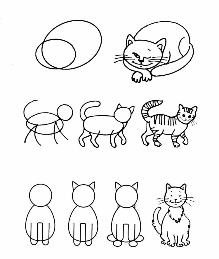 Схематический рисунок животных для детей 