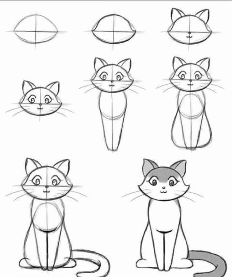 Поэтапное рисование кошки для дошкольников