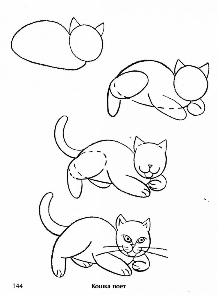Поэтапное рисование кота. Поэтапное рисование кота для детей. Поэтапное рисование кошки для детей. Схема рисования кошки для дошкольников. Нарисовать кошку поэтапно для детей