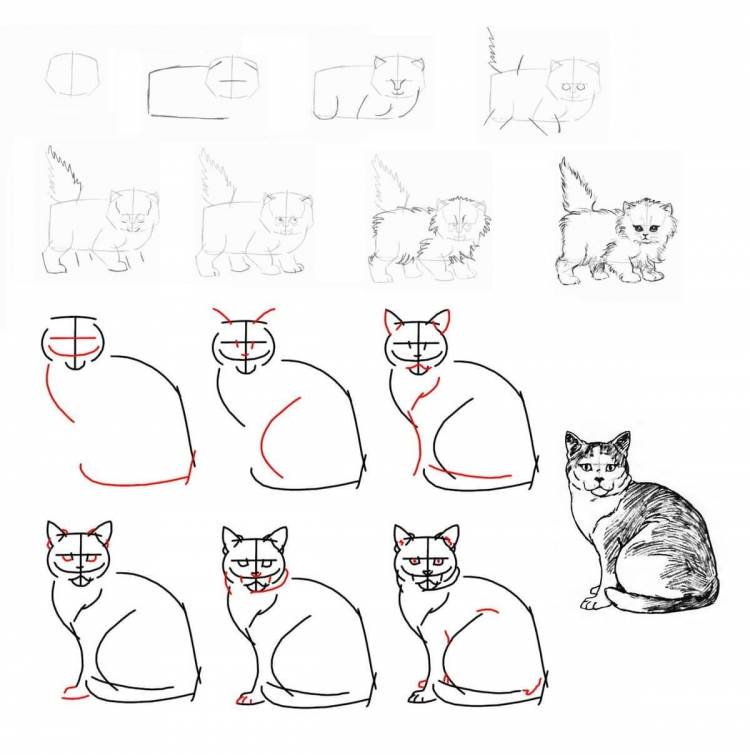Рисунок кошка поэтапно