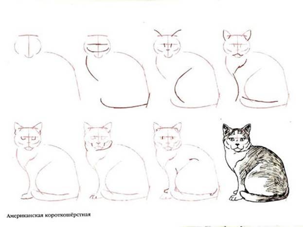 Разработка урока по рисунку Рисование домашних животных