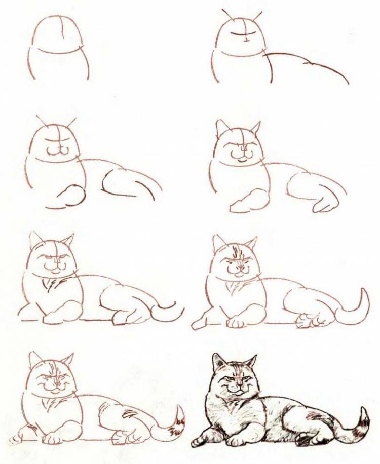 Рисуем кота, кошку, котенка поэтапно