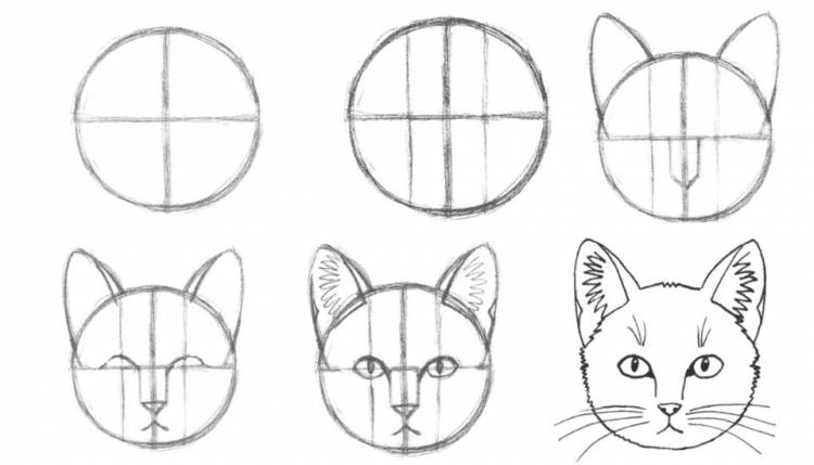 Как нарисовать кошку (кота, котенка) ?